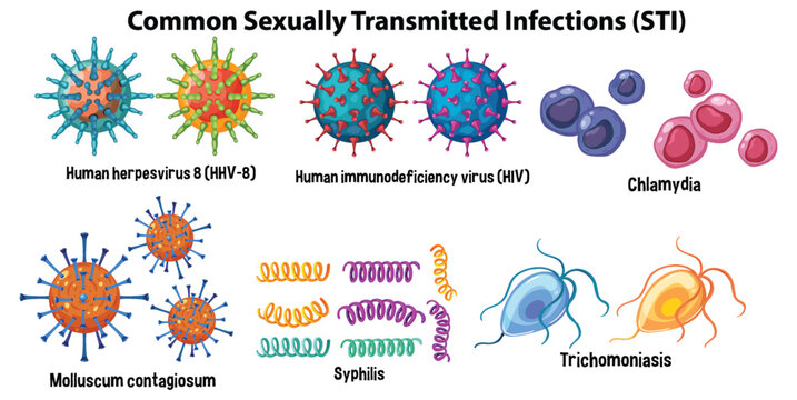 Common Sexually Transmitted Infections (STI)