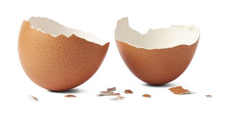 brown egg shell broken or crack with pieces scattered on the surface, isolated cut out - obrazy, fototapety, plakaty