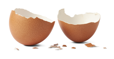 brown egg shell broken or crack with pieces scattered on the surface, isolated cut out