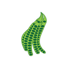 vegetable petai icon vector