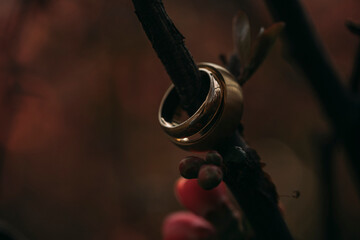 Wedding rings. Love concept. Sensual. Wedding. Bride. Golden rings. 