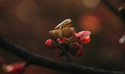 Golden wedding rings. Wedding rings. Photo. 