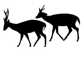 graphics drawing silhouette two deer illustration transparency