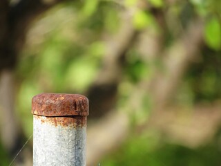 Parte superior de un pequeño poste oxidado sobre fondo vegetal