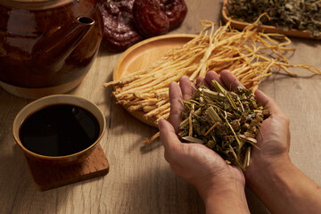 Hand model is holding Chinese motherwort with a bowl of medicine beside. Dangshen, lingzhi mushroom and a earthen pot arranged. Chinese herbal therapy