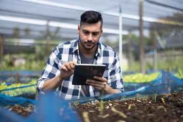 Obraz premium A worker on a vegetable farm examines soil conditions and crop growth to determine the best type and amount of crop to plant. A small business owner's daily planning and organizing routine