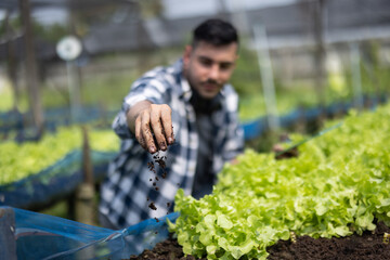 A worker on a vegetable farm examines soil conditions and crop growth to determine the best type and amount of crop to plant. A small business owner's daily planning and organizing routine