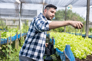 A worker on a vegetable farm examines soil conditions and crop growth to determine the best type and amount of crop to plant. A small business owner's daily planning and organizing routine