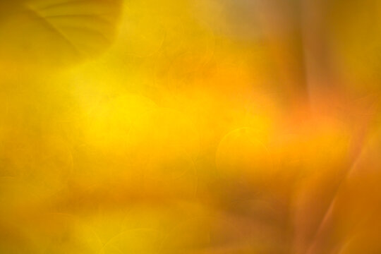 A yellow background with blurred vegetal details