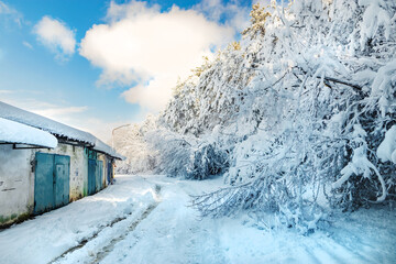 Fototapeta premium Snowy road on a sunny day, frozen trees covered with snow, blue sky. A winter highway with snow mounds, snow-covered pines and a mountain under a blue sky. A snow-covered road near a frozen forest.