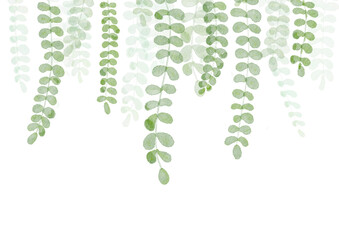 Botanical Watercolor Border, Floral border, Greenery Foliage Border