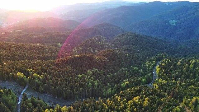 Lift with cable passes between spruce forest on peak against backdrop of mountain ranges of Rhodope Mountains