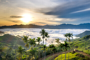 Fototapeta na wymiar Panoramic view of sunrise with a trail going through a valley filled with white clouds in the Tak Po mountains in Tra Tap commune, Nam Tra My district, Quang Nam province, Vietnam