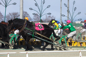 ばんえい競馬（帯広市）