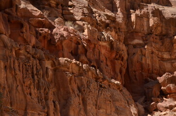 Fototapeta na wymiar Details of the beautiful rocks and canyons of Wadi Ghweir in the Jordan desert