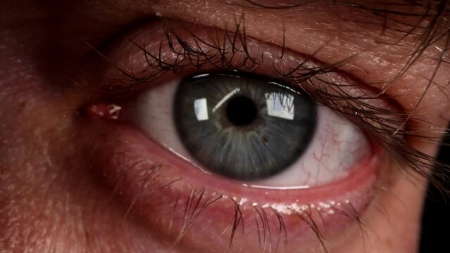 eye of middle-aged man, extreme macro shot, male person opening and closing eye with grey iris