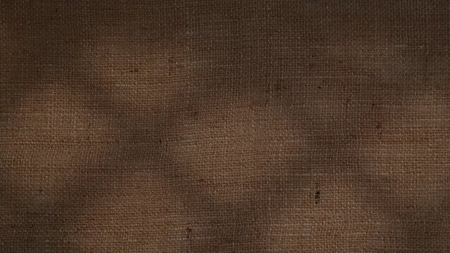 Window grid and tree leaves silhouette shadows motion on jute texture background