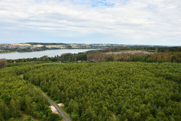 Obraz premium Dying forest of diseased trees with bark beetle infestation at Moehnesee, Germany
