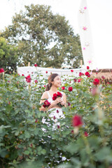 Young Asian woman wearing a white dress poses with a rose in rose garden, Chiang Mai Thailand