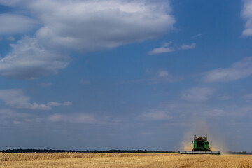 Fototapeta premium Combine harvester harvests ripe wheat. Ripe ears of gold field on the cloudy sky background. . Concept of a rich harvest. Agriculture image