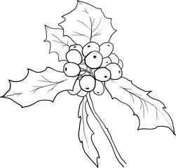 Holly lineart, birth month flowers clipart, flower illustration