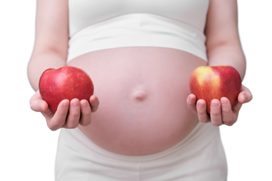Pregnant woman with two red apples, isolated on a white background concept of a two-child pregnancy - Powered by Adobe