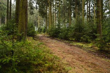 Obraz premium Altstraße 