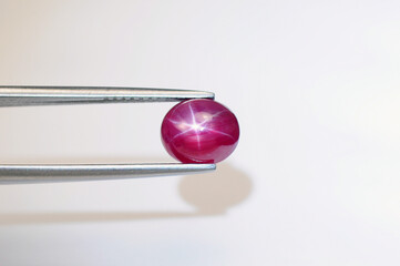 Natural bright red color 6 rays star ruby cabochon gemstone setting in tweezers. Heated, lead glass filled gem. Corundum, Al2O2. Earth mined stone. White background, shadow.