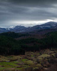 Fototapeta premium Beautiful landscape of a forest and snowy mountains in the background.