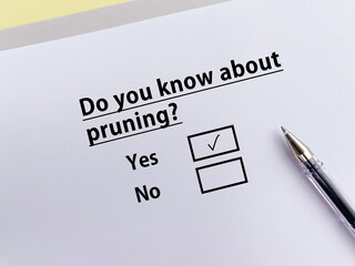 Questionnaire about artificial intelligence