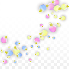 Vector Realistic Colorful Petals Falling on Transparent Background.  Spring Romantic Flowers Illustration. Flying Petals. Sakura Spa Design. Blossom Confetti. Design Elements for Wedding Decoration.