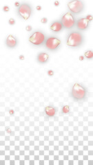 Pink Vector Realistic Petals Falling on Transparent Background.  Spring Romantic Flowers Illustration. Flying Petals. Sakura Spa Design. Blossom Confetti. Design Elements for Wedding Decoration.