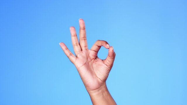 Hand, perfect and okay sign by person in support, vote or approve decision isolated against a studio blue background. Hands, yes and ok gesture by model showing signal of approval or agree