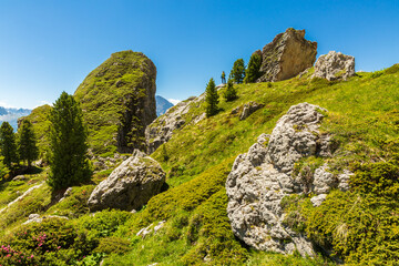mountain landscape in the mountains