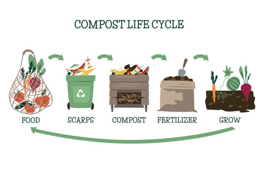 Compost life circle infographic. Composting process. Recycling organic waste from collecting kitchen scraps to use compost for farming. Zero waste concept. Hand drawn vector illustration. Vector