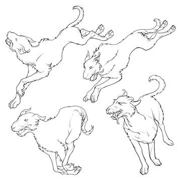 The Irish Wolfhound dogs pack in a different running positions. Set of black line drawings isolated on white background. EPS 10 vector illustration.