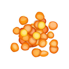 lentil seed cartoon vector illustration