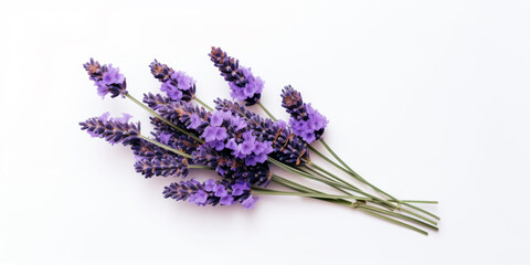 Lavender Love: Serenity & Beauty on a White Canvas. AI Generated Art. Wallpaper, Background. Concept Art with Whitespace for Beauty and Health.