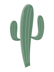 Cactus illustration in a flat style on a white background. Home plants cactus illustration.