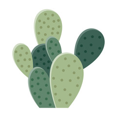 Cactus illustration in a flat style on a white background. Home plants cactus illustration.