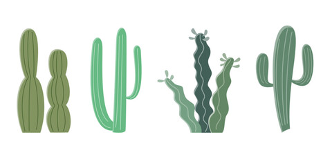 Cactus illustration in a flat style on a white background. Home plants cactus illustration.