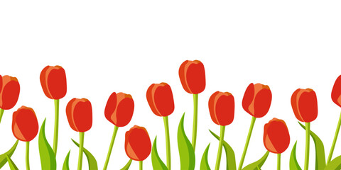 Seamless border of red tulips on a white background. Flowers vector illustration for card, poster, print.