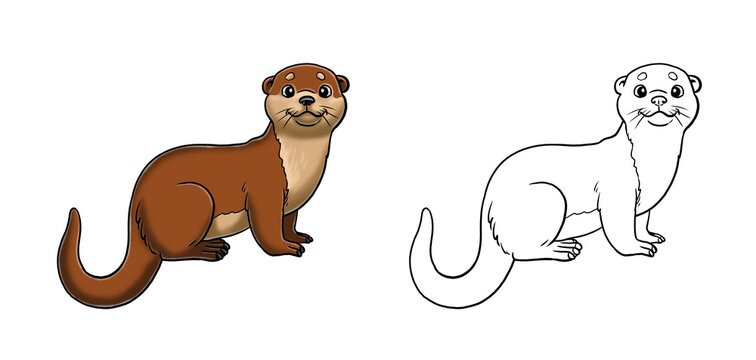 Cute otter to color in. Template for a coloring book with funny animals. Coloring page for kids.