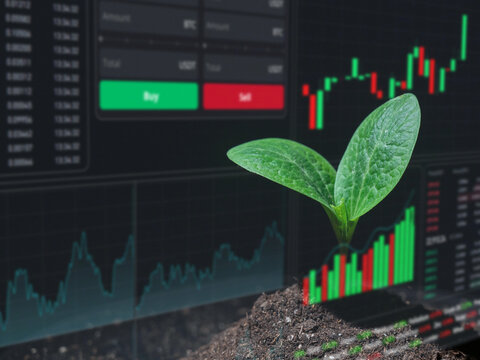 HUD menu on top of zucchini sprout on a black background. Stock charts. brokerage terminal.