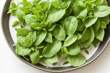 mint, leaf, herb, plant, peppermint, leaves, fresh, nature, herbal, organic, garden, green