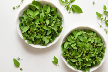 mint, leaf, herb, plant, peppermint, leaves, fresh, nature, herbal, organic, garden, green