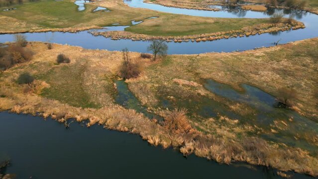 Aerial shot of flooded fields and natural meander. Camera titl down on tree
