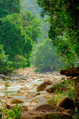 River streams in the forest in Hutan Lipur Belukar Bukit, Kuala Berang, Terengganu, Malaysia.