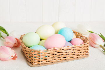Happy Easter composition. Easter eggs in basket on colored table with yellow Tulips. Natural dyed colorful eggs background with copy space