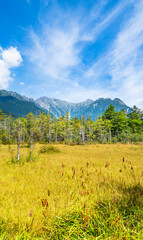 上高地　田代湿原と穂高連峰【長野県・松本市】　
A famous tourist spot in Nagano. Hotaka mountain range and Tashiro wetland - Kamikōchi, Japan